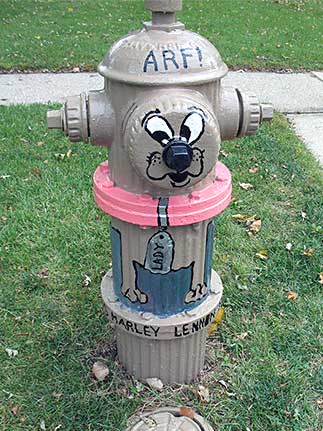 Dog - 703 N. Biermann